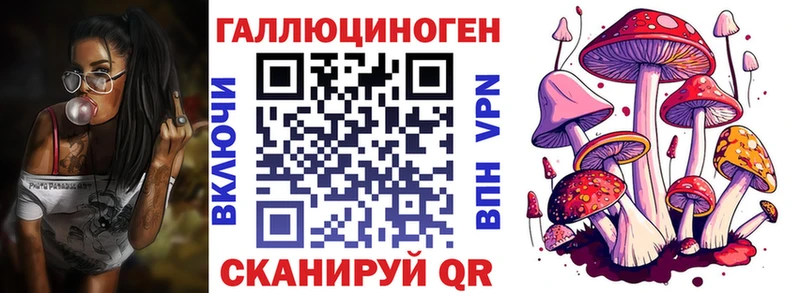 ссылка на мегу как зайти  Коммунар  Псилоцибиновые грибы Psilocybine cubensis 