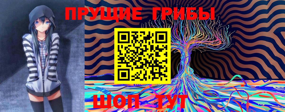 Псилоцибиновые грибы Cubensis Коммунар