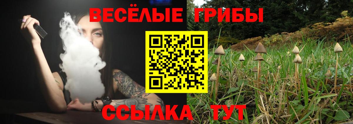 Псилоцибиновые грибы Magic Shrooms  Вход с VPN  Коммунар 